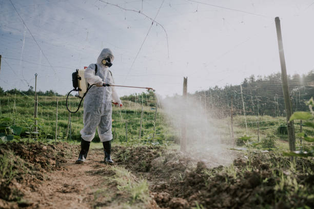 Best Pest Prevention Services  in Galva, KS