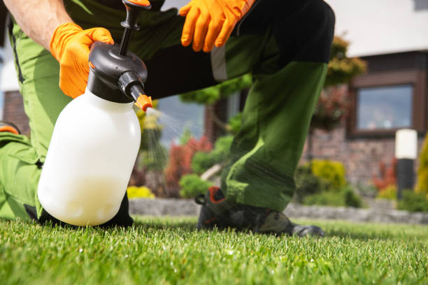 Best Flea Control Services  in Galva, KS