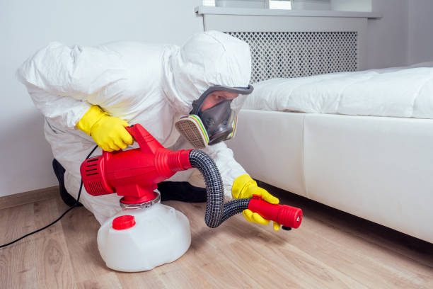 Best Pest Control for Homes  in Galva, KS