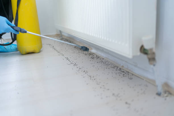 Best Affordable Exterminators  in Galva, KS