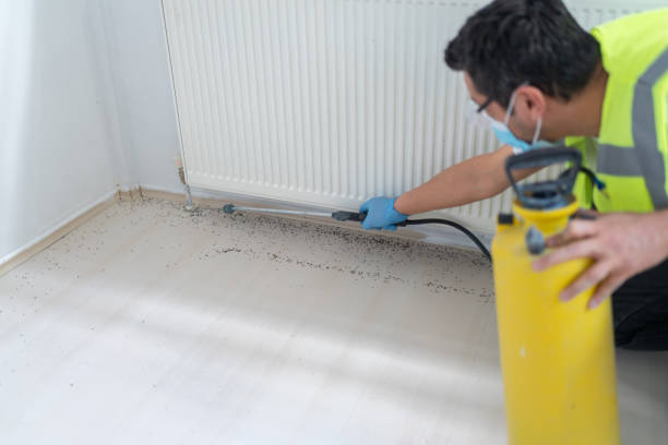 Best Best Pest Control Near Me  in Galva, KS