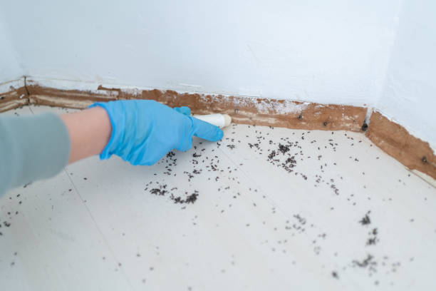 Best Wildlife Control Services  in Galva, KS